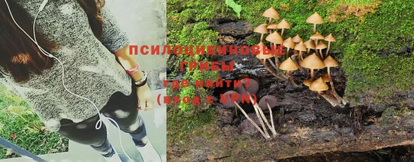 MESCALINE Алзамай