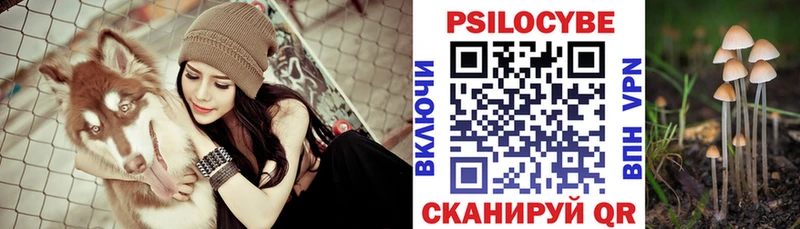 Псилоцибиновые грибы Psilocybe  Волгоград 
