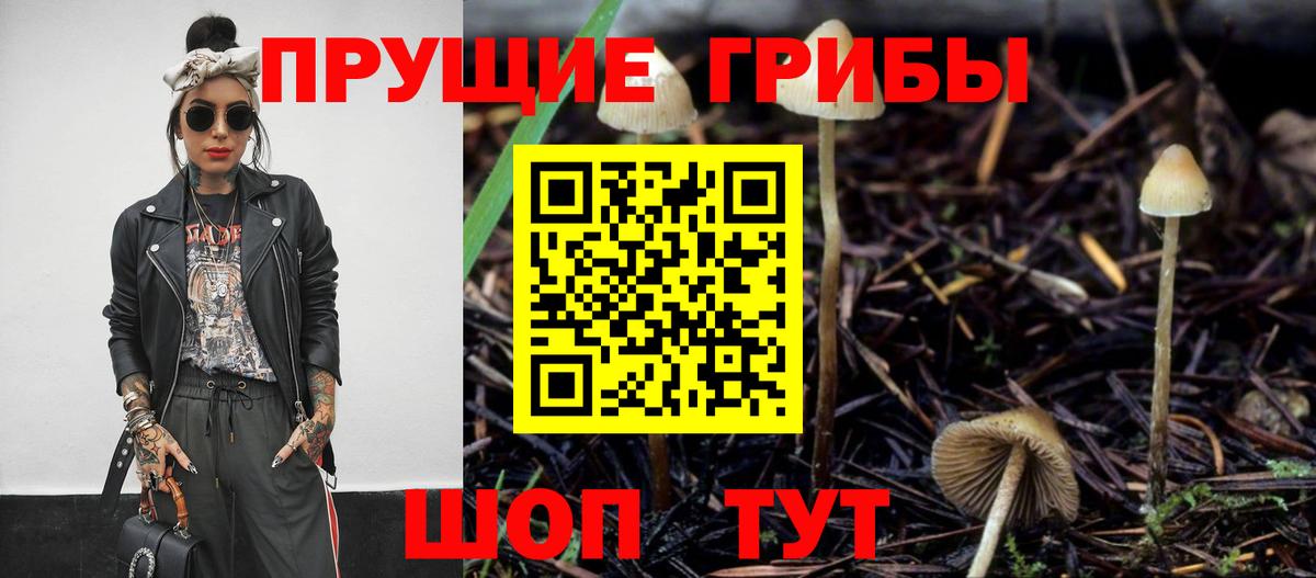 закладка  Галлюциногенные грибы мухоморы  Вход с VPN  Волгоград 